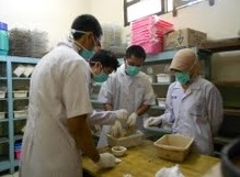Tulang Sapi Bisa Sembuhkan Patah Tulang
