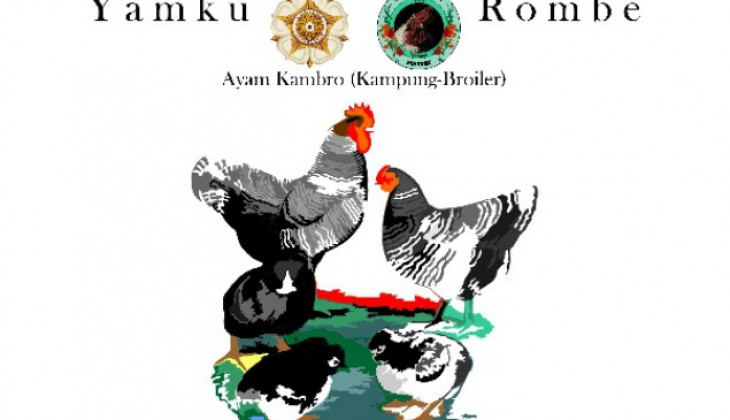 100+ Gambar Ayam Yg Sudah Diwarnai Paling Keren 100+ Gambar Ayam Yg Sudah Diwarnai Paling Keren