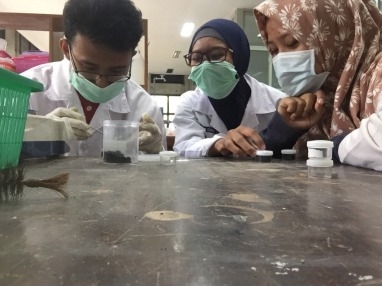 Limbah Kulit Pisang Mampu Turunkan Konsentrasi Logam Berat di Sungai