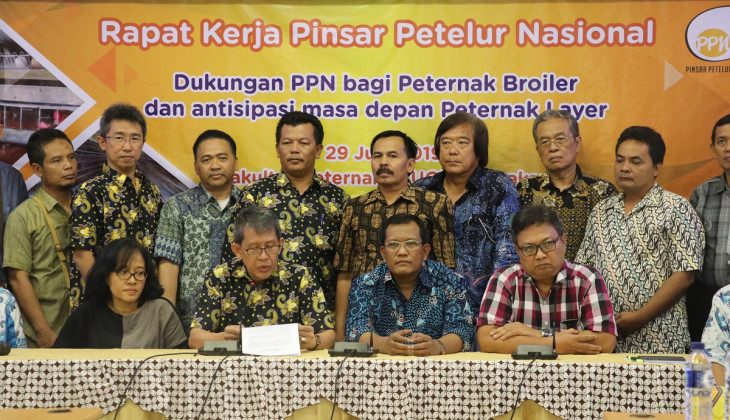 PNN Ajak Semua Pihak Cegah Fluktuasi Harga Ayam Broiler Merambat ke Ayam Petelur