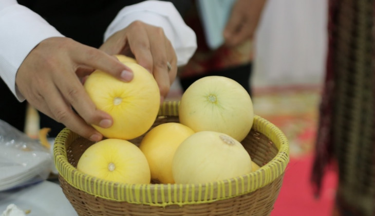 UGM Luncurkan Melon Baby Hikapel Seukuran Apel