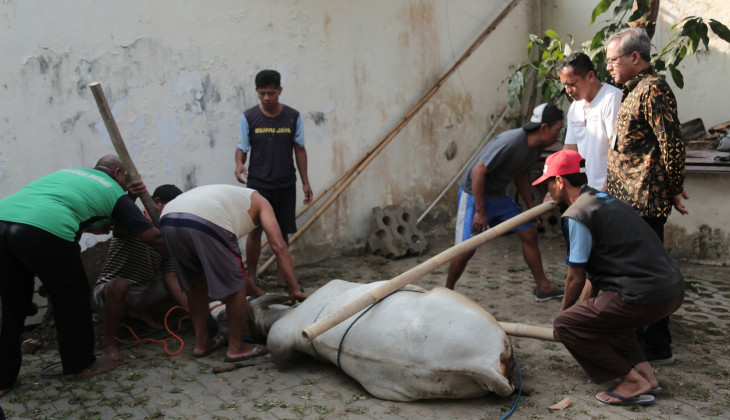Idul Adha 1440 H, Korpagama Sembelih Hewan Qurban