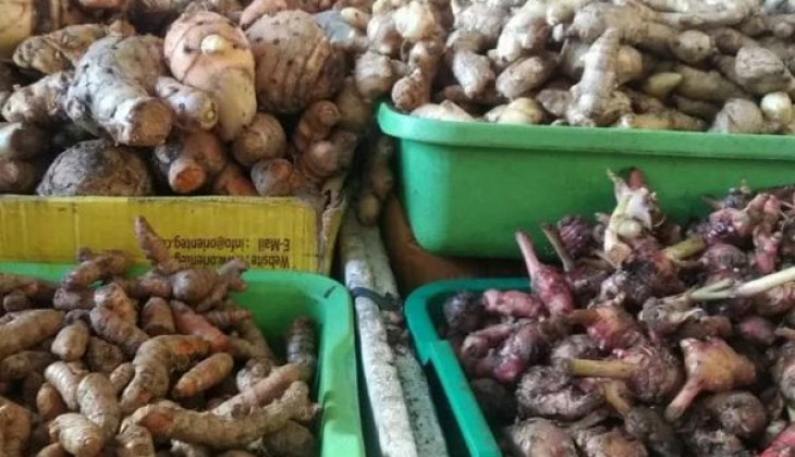 Mengenal Herbal Pendongkrak Imun Tubuh