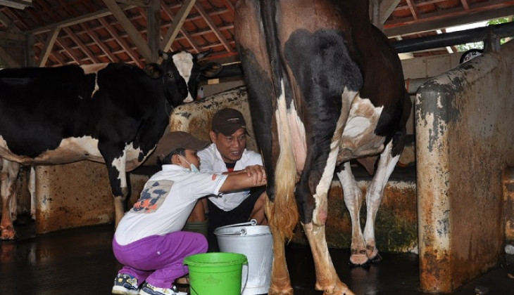 Protein Hewani, Stunting, dan SDM Unggul