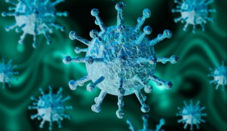 Pakar UGM: Flu Burung Tidak Menular Antar Manusia | Universitas Gadjah Mada