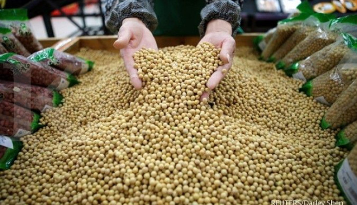 Observer Calls for Soybean Breakthrough to Overcome Tempeh-Tofu Crisis