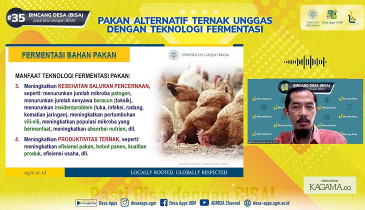Fermented Chicken Feed: Alternative for Increased Productivity & Cost Efficiency