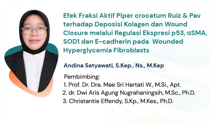  Sirih Merah Potensial Percepat Penyembuhan Luka Diabetik   