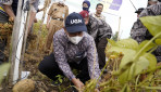 UGM Panen Kedelai Varietas Grobogan Program SAE Kedelai