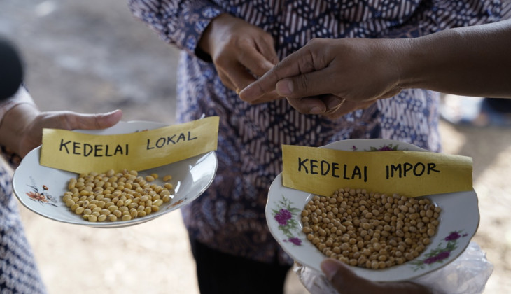 UGM Panen Kedelai Varietas Grobogan Program SAE Kedelai