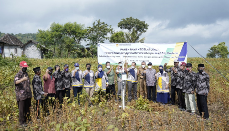 UGM Panen Kedelai Varietas Grobogan Program SAE Kedelai