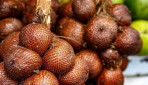 Limbah Kulit Salak Pondoh Potensial Jadi Obat Kanker Lidah     