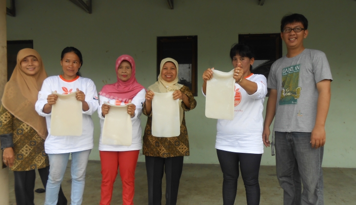 Dampaknya potensi volume buah seberat 4 ton/hari tidak termanfaatkan Menjadi alasan munculnya ide Nata de Fruity