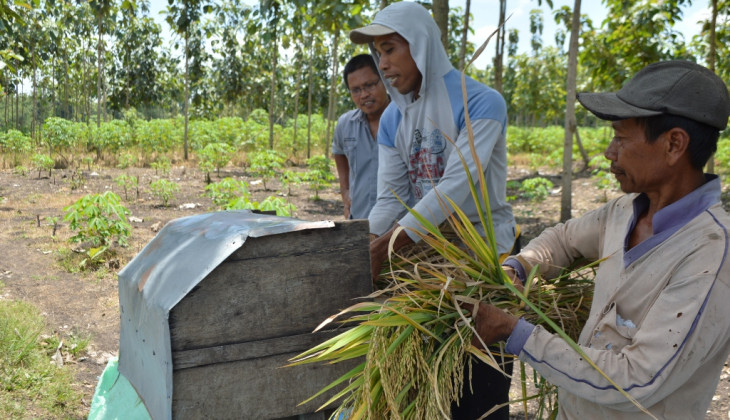 Agroforestri Untungkan Petani Hutan Jati