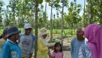 Agroforestri Untungkan Petani Hutan Jati