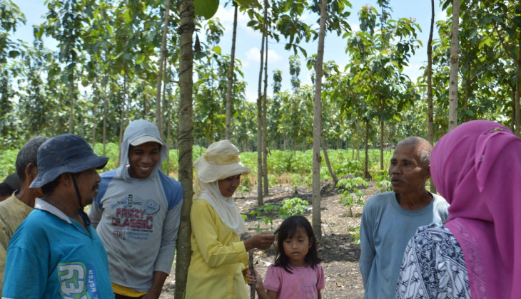Agroforestri Untungkan Petani Hutan Jati