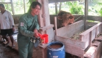 IAAS LC UGM dan Warga Kulwaru Luncurkan Pupuk Kompos Organik