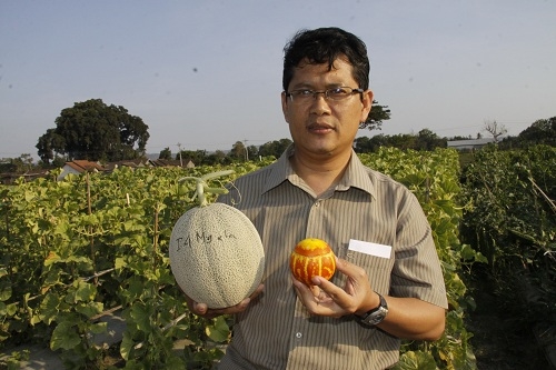 Dosen UGM Sukses Kembangkan Gama Melon Parfum
