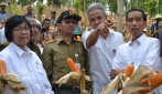 Jokowi Tinjau Sistem Pertanian Terpadu di Areal Hutan Blora