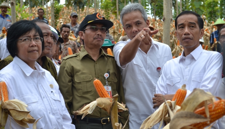 Jokowi Tinjau Sistem Pertanian Terpadu di Areal Hutan Blora