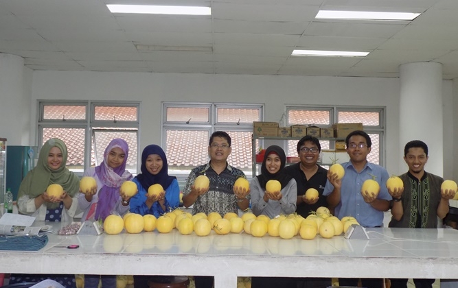 UGM Panen Melon Hikapel