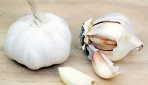 Bawang Putih (http://id.wikipedia.org)