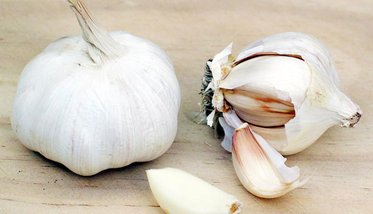 Bawang Putih (http://id.wikipedia.org)