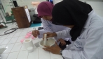  Mahasiswa UGM Sulap Limbah Darah Sapi Jadi Obat Luka Diabetes