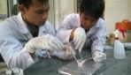 Tim peneliti tengah melakukan serangkaian uji coba di laboratorium. (foto: dok.pribadi)