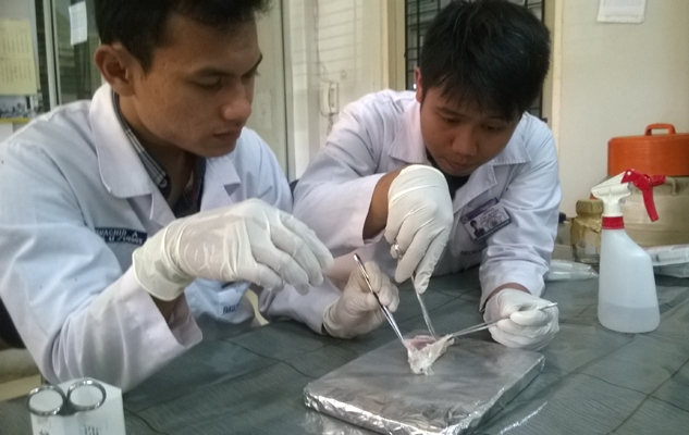Tim peneliti tengah melakukan serangkaian uji coba di laboratorium. (foto: dok.pribadi)