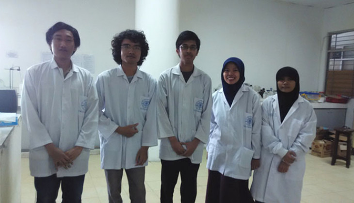 Daun Cincau Hijau Potensial Meningkatkan Sistem Kekebalan Tubuh