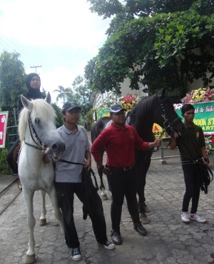 Terapi Autis Dengan Berkuda