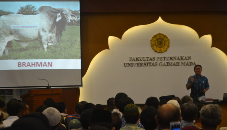 Ahli Peternakan UGM: Jangan Beli Sapi Pemakan Sampah