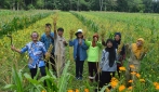 Petani Binaan UGM Mampu Memproduksi Kedelai Tiga Kali Lebih Banyak