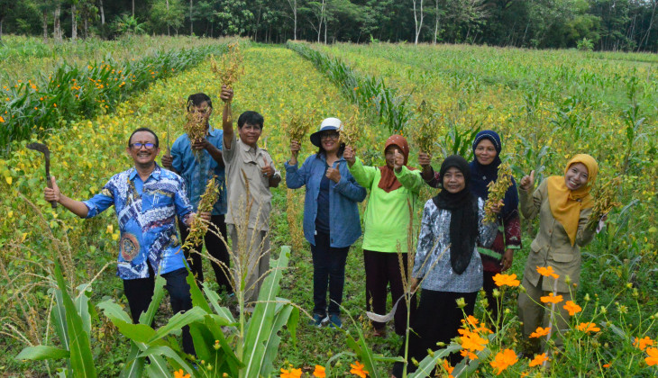 Petani Binaan UGM Mampu Memproduksi Kedelai Tiga Kali Lebih Banyak