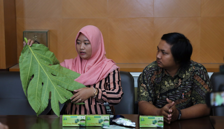 Mahasiswa UGM Olah Daun Sukun Jadi Teh Obat Ginjal