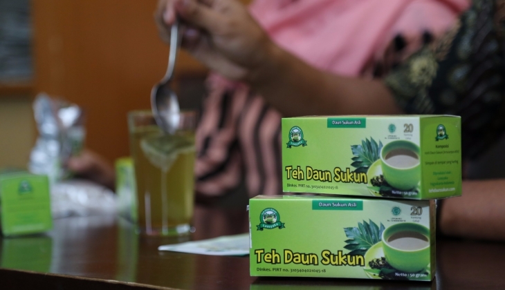 Mahasiswa UGM Olah Daun Sukun Jadi Teh Obat Ginjal
