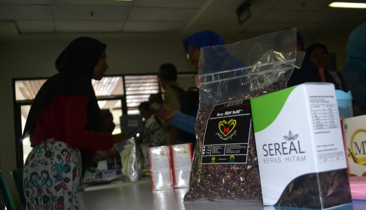 FTP UGM dan Kelompok Tani Kembangkan Beras Hitam Organik
