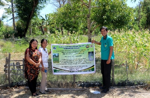    Fakultas Kehutanan UGM dan POLITANI Kerja Sama Pengembangan Agroforestri Cendana