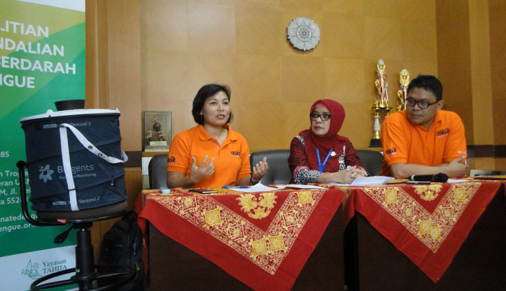 Kasus DBD Yogyakarta Menurun, Pengaruh Nyamuk Wolbachia?