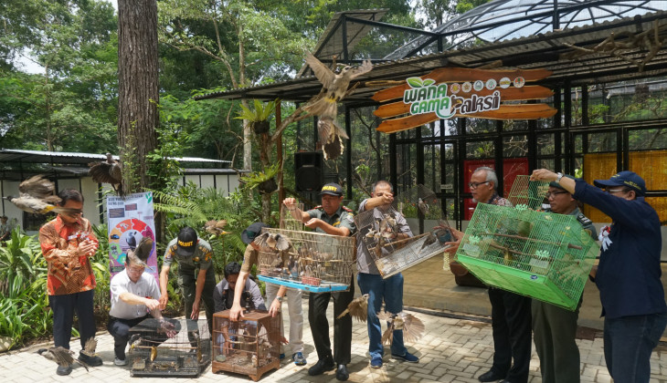 Melestarikan Satwa Burung Melalui Wanagama Paksi